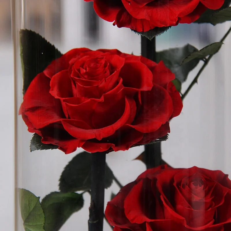 Romantic Valentines Day Gift LED Light Preserved Roses Flower Box Eternal Immortal Dome Rose in Glass