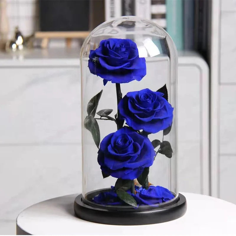 Romantic Valentines Day Gift LED Light Preserved Roses Flower Box Eternal Immortal Dome Rose in Glass
