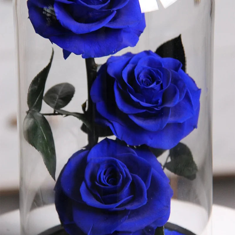 Romantic Valentines Day Gift LED Light Preserved Roses Flower Box Eternal Immortal Dome Rose in Glass