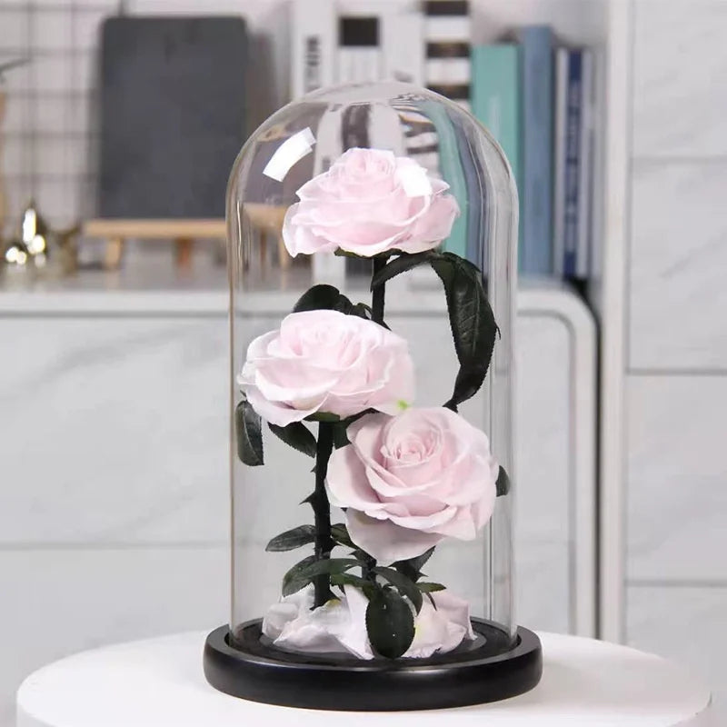 Romantic Valentines Day Gift LED Light Preserved Roses Flower Box Eternal Immortal Dome Rose in Glass